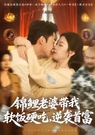 锦鲤老婆带我软饭硬吃，逆袭首富(全集)