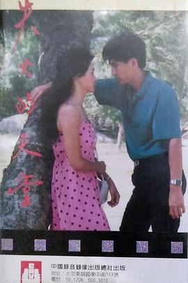 失火的天堂1985第03集(大结局)