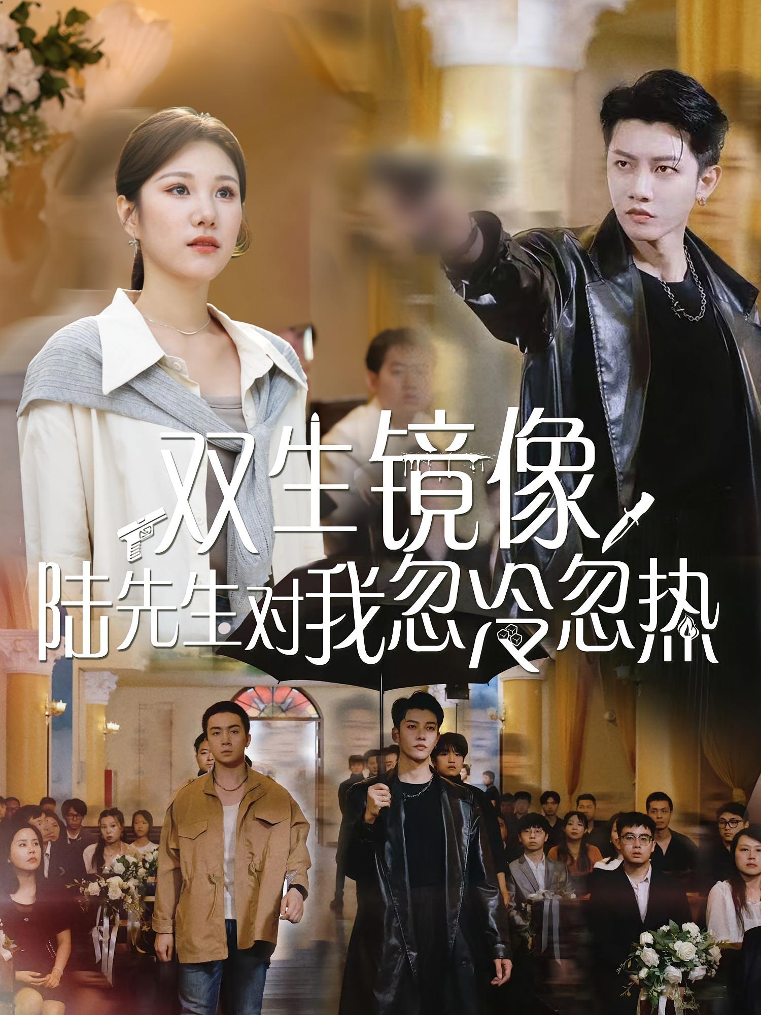 双生镜像陆先生对我忽冷忽热第20集