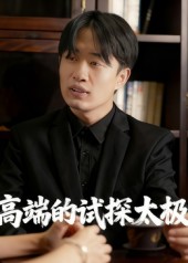 高端的试探太极第04集