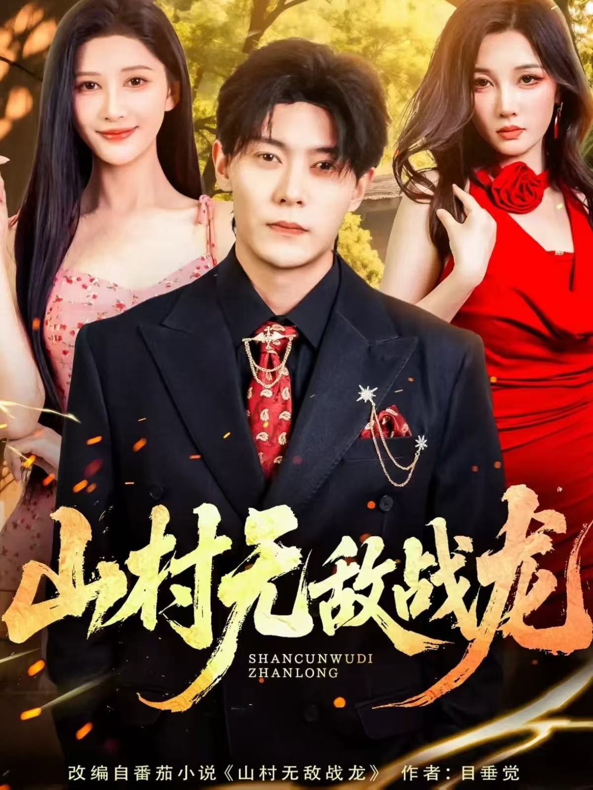 山村无敌战龙第40集