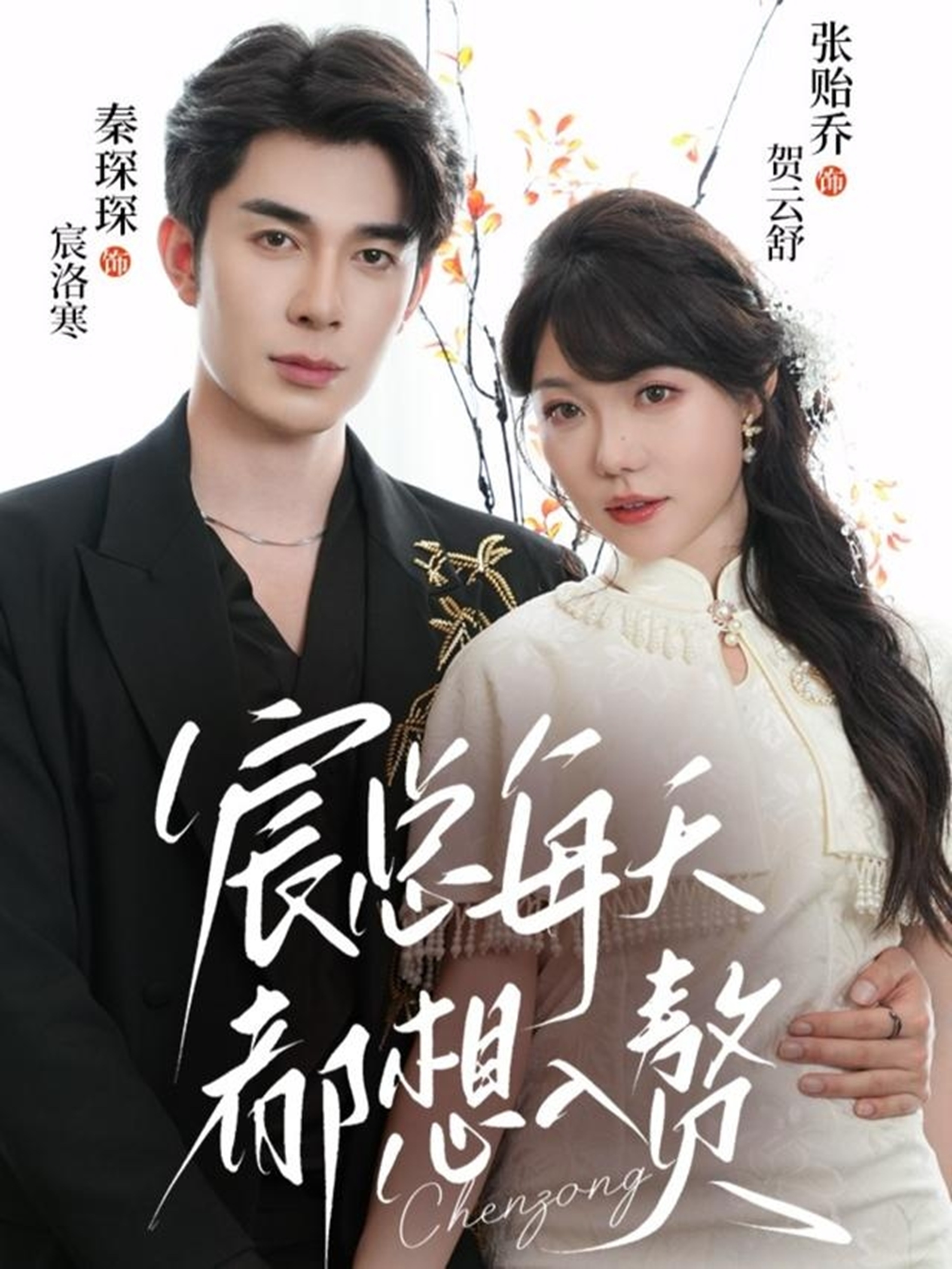 宸总每天都想入赘第22集