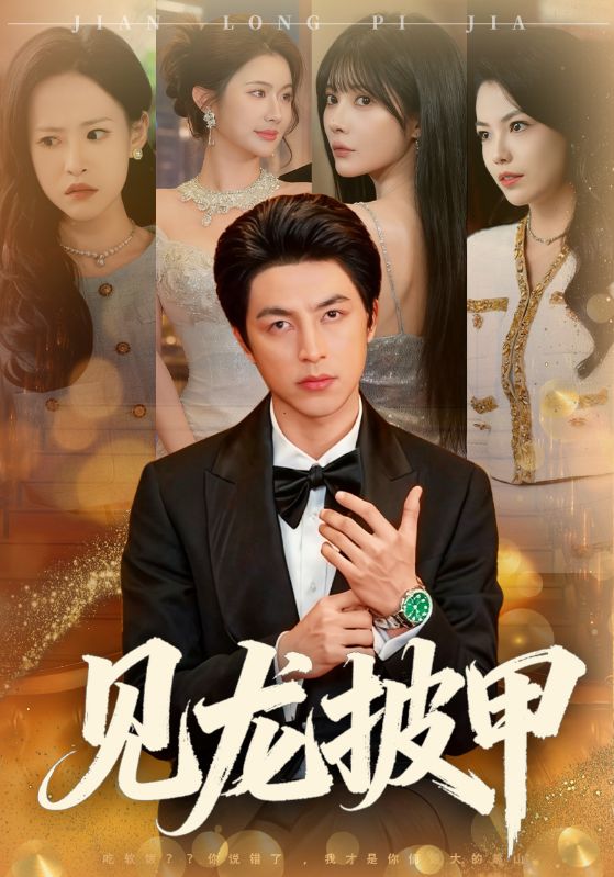 见龙披甲第21集