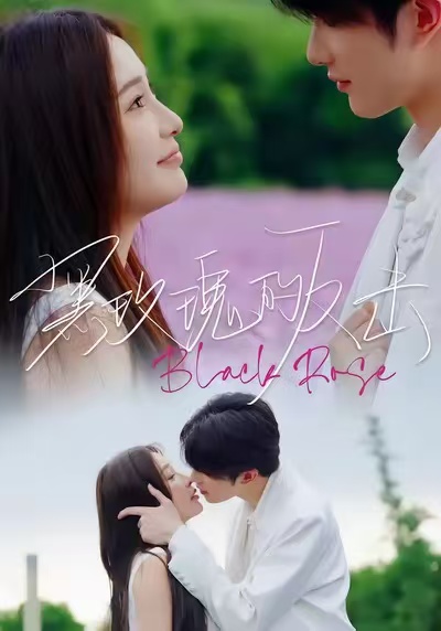 黑玫瑰的反击第16集