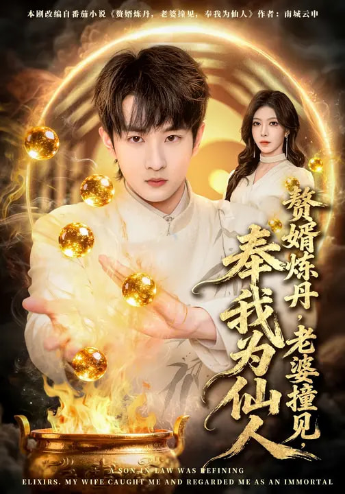 赘婿炼丹，老婆撞见，奉我为仙人第10集