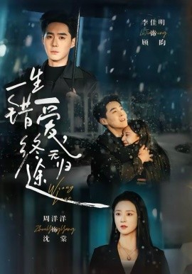 一生错爱，终无归途第13集