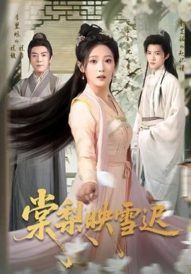 棠梨映雪迟(全集)